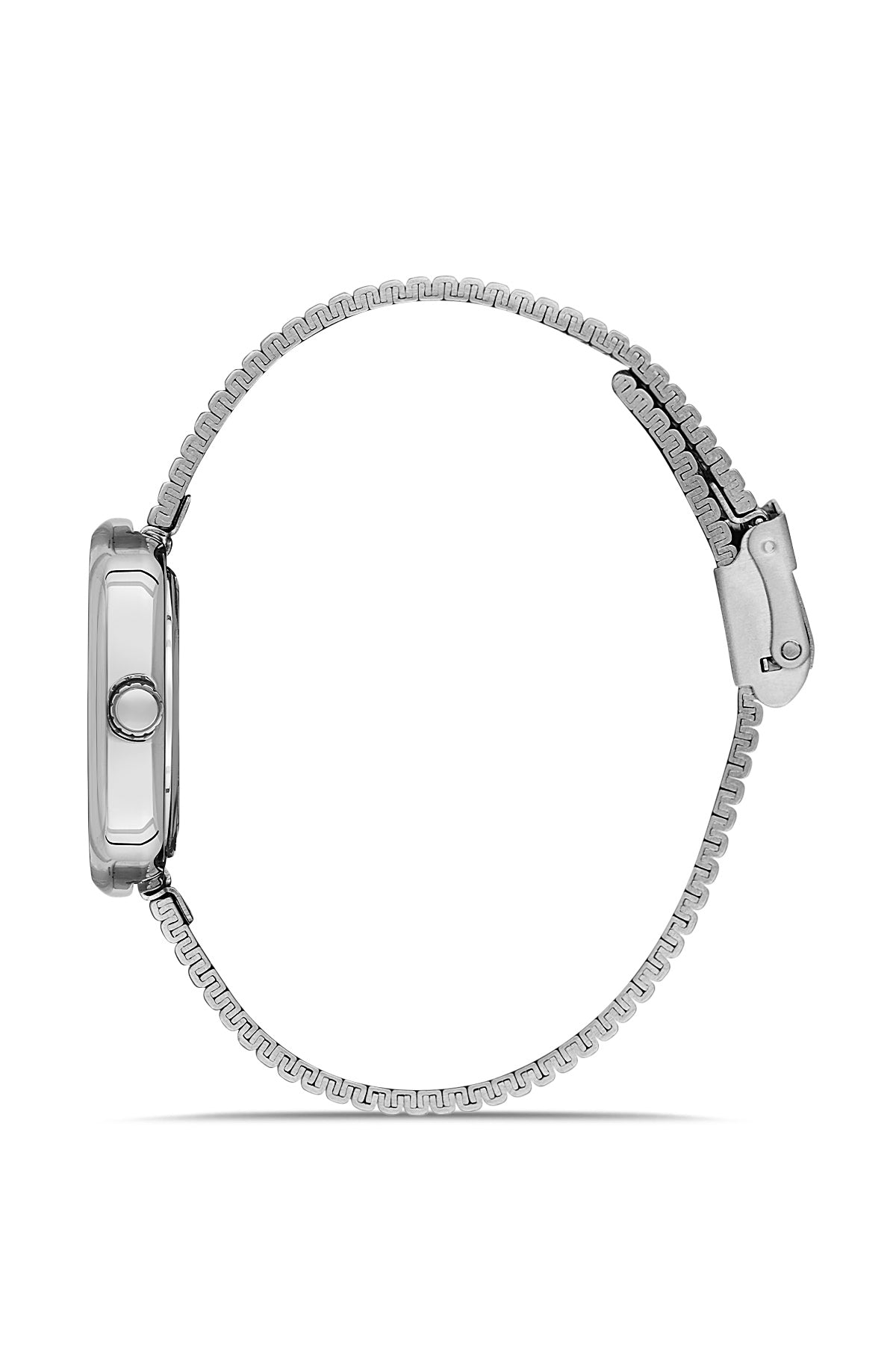 David Guner Silver Plating Silver Dial Women's Watch