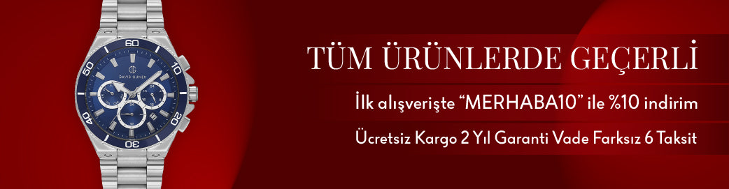 DAVID GUNER Erkek Gümüş Kadranlı Gümüş Çelik Otomatik Kol Saati - DG-8