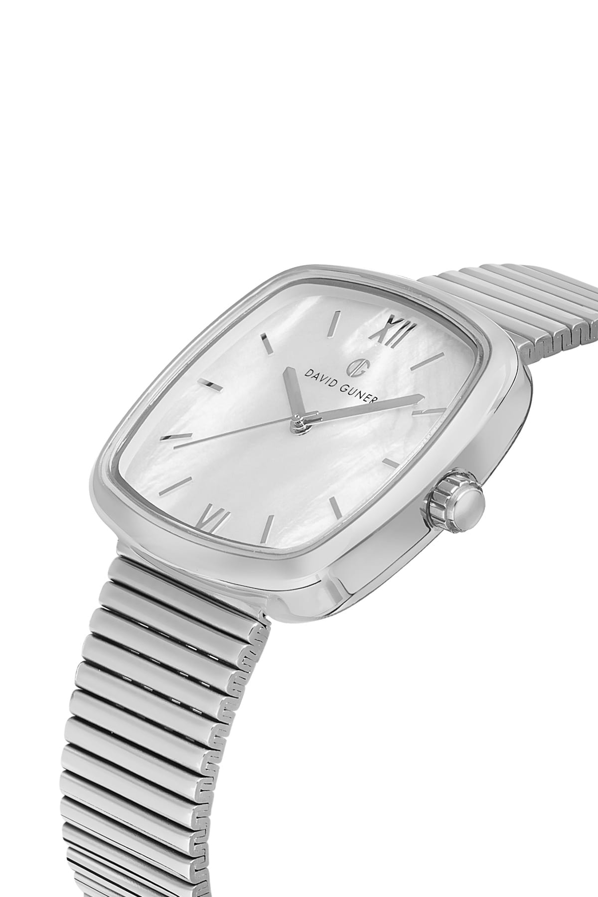 David Guner Silver Plated Silver Dial Women's Wristwatch