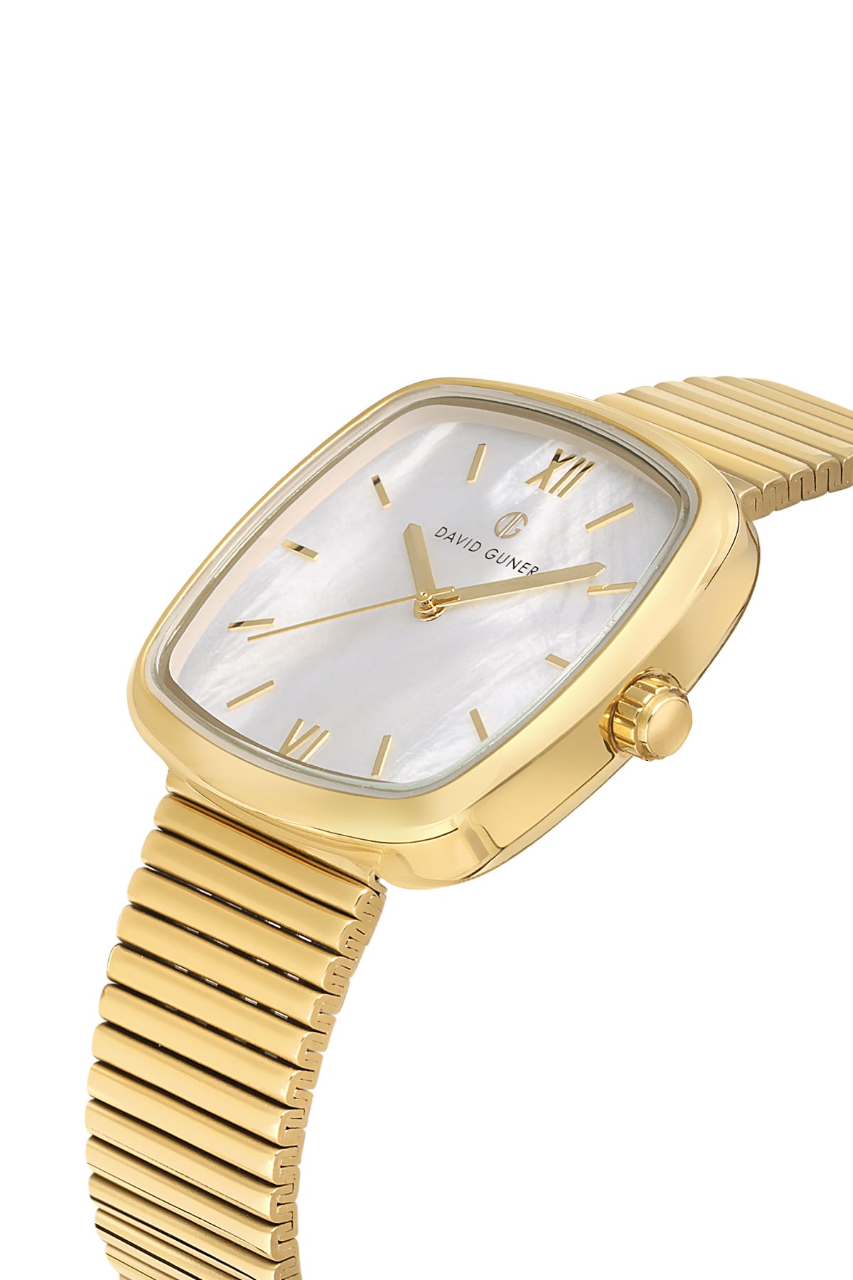 David Guner Silver Dial Yellow Plated Women's Wristwatch