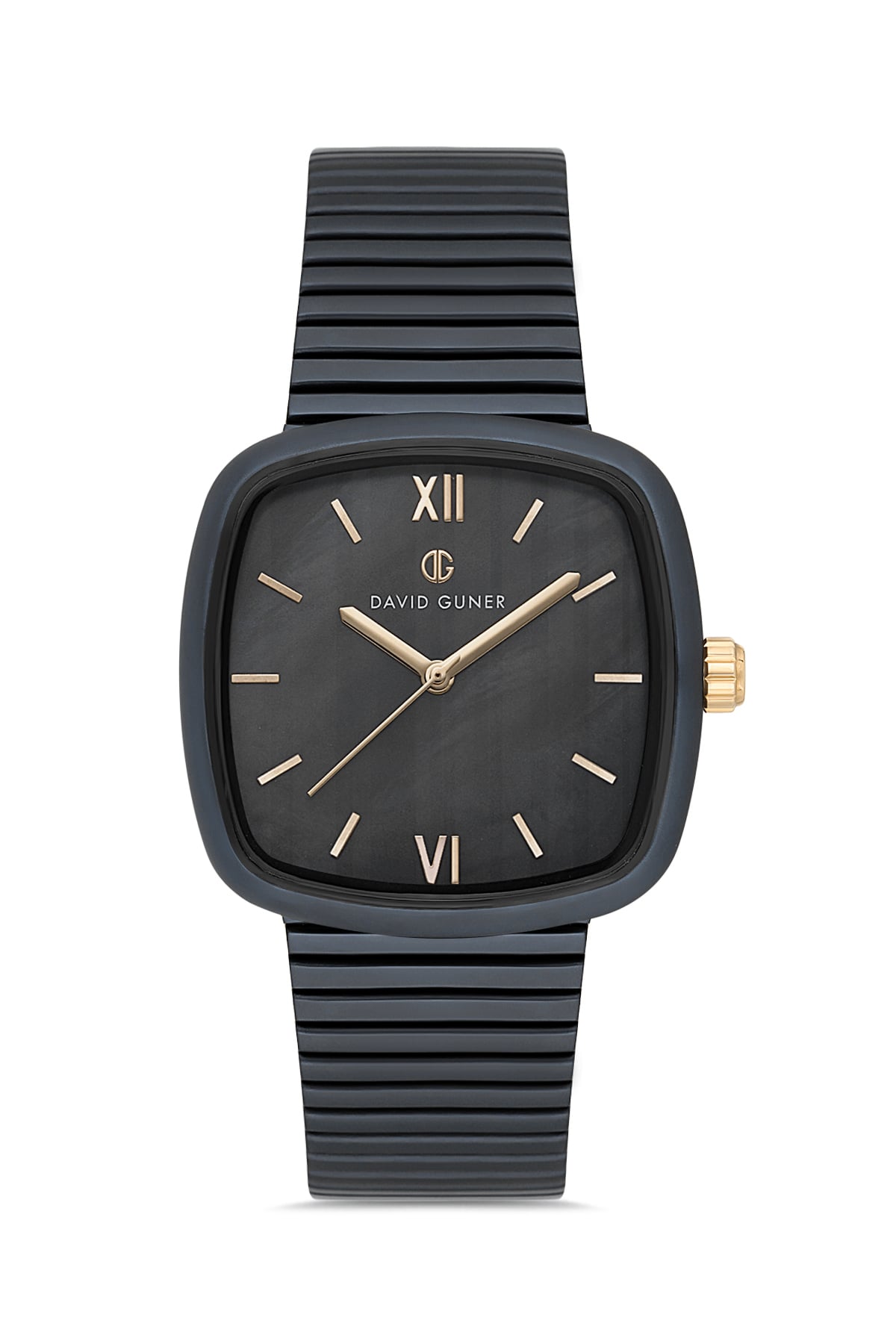 David Guner Black Coated Black Dial Women's Wristwatch
