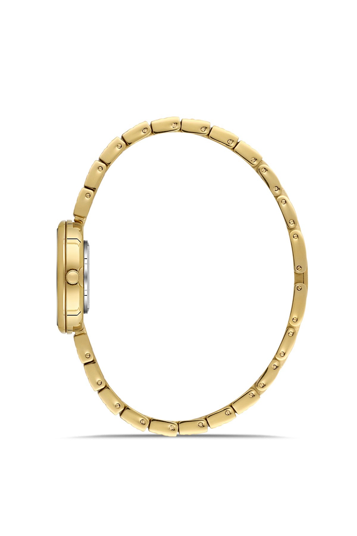 DAVID GUNER Kadın Mavi Kadranlı Sarı Çelik Kol Saati - DG-8933LA-B3